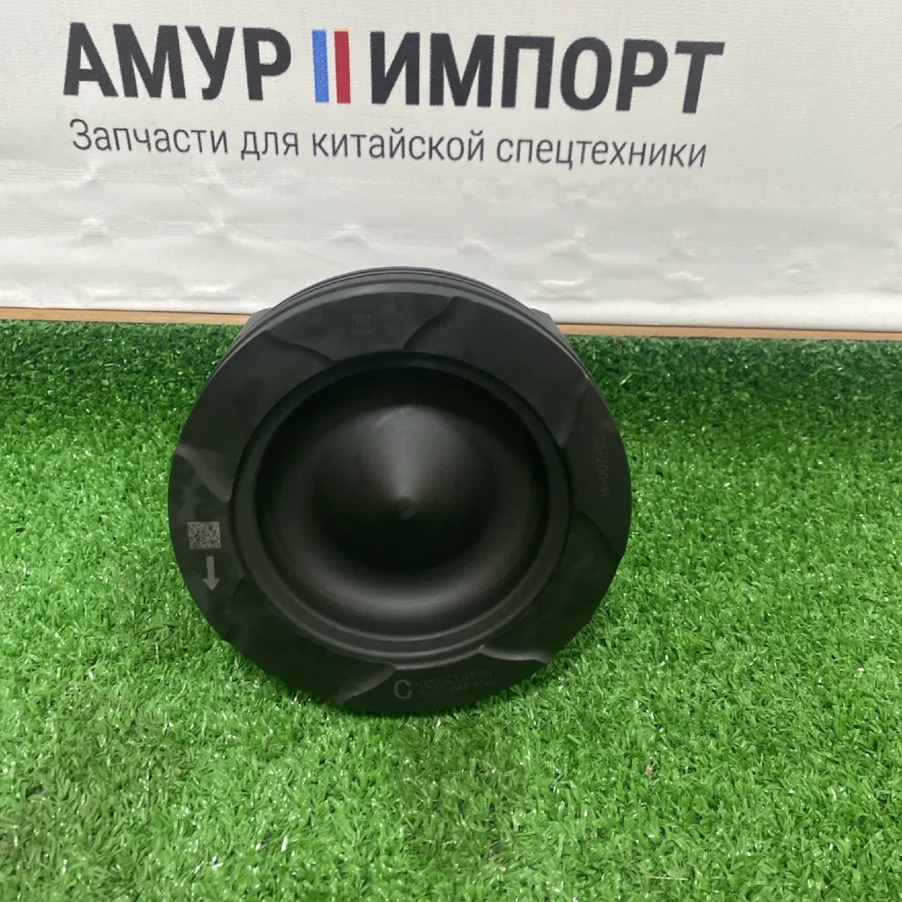 Поршень DM3 "M66" J7 1004011AM66-000JZ