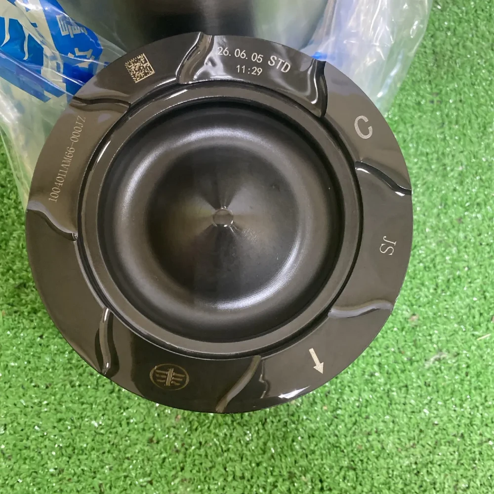 Поршень DM3 "M66" J7 1004011AM66-000JZ